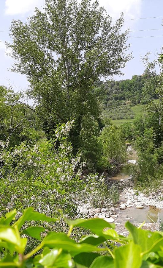 Podere Pian Dei Gelsi 볼테라 외부 사진